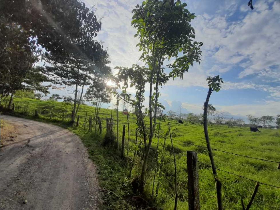 Se Vende Lote Vereda La Bella Calarca Quindio Colombia