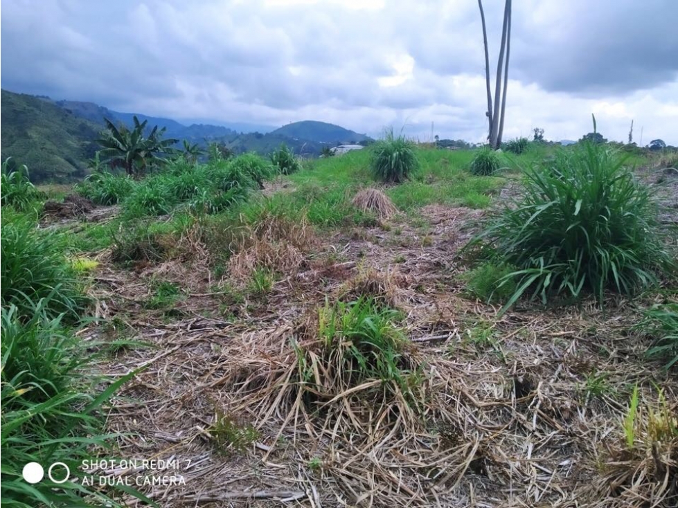 SE VENDE LOTE VIA SANTA ROSA CHINCHINA, RISARALDA