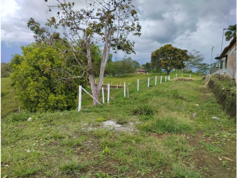 SE VENDE LOTES EN EL SECTOR VIS ALCALÁ