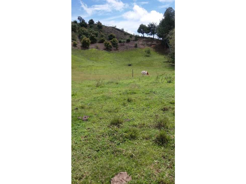 LOTE EN VENTA EN EL SANTUARIO, ANTIOQUIA