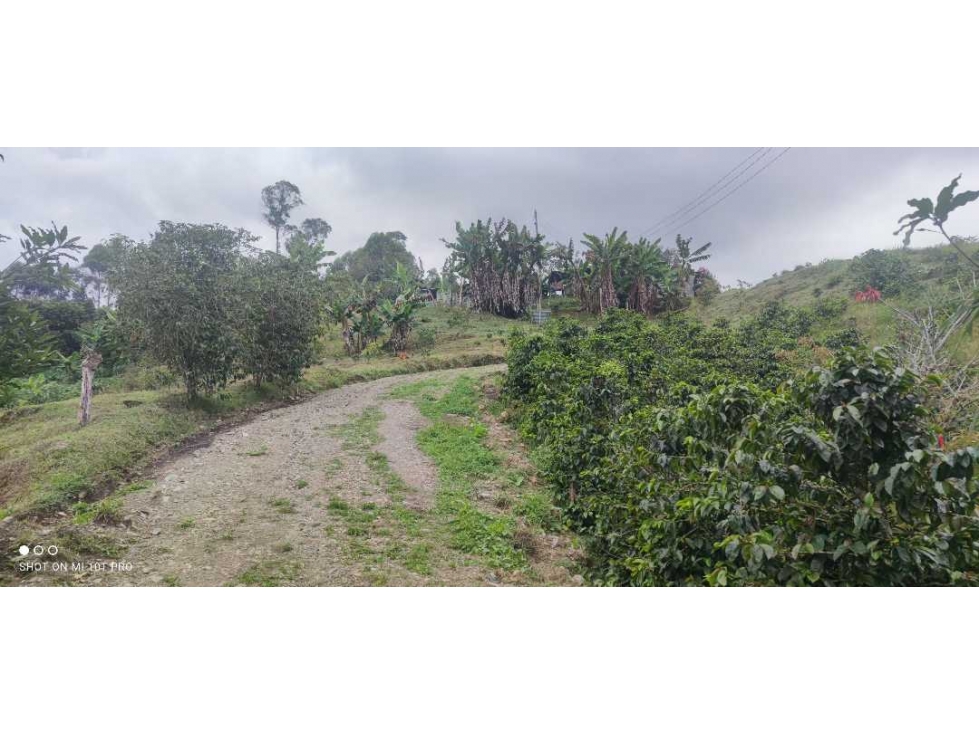 VENDO ESPECTACULAR FINCA EN PACHO CUNDINAMARCA