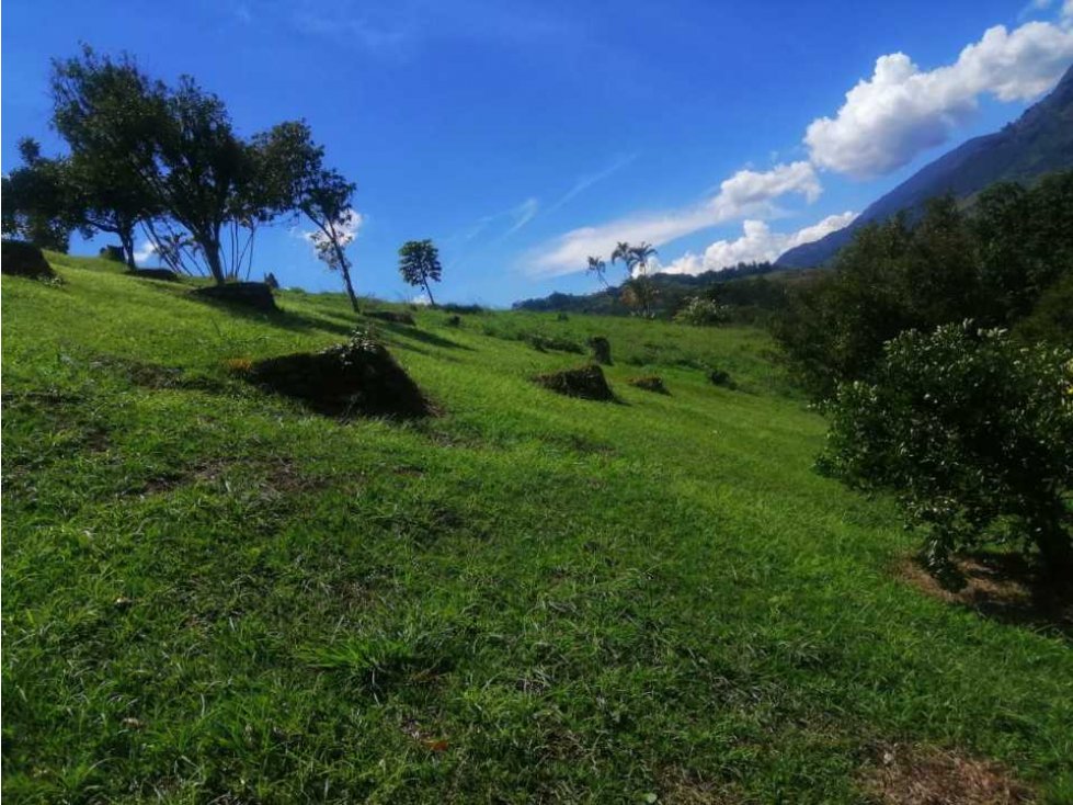 Vendo o se permuta finca en Girardota el totumo