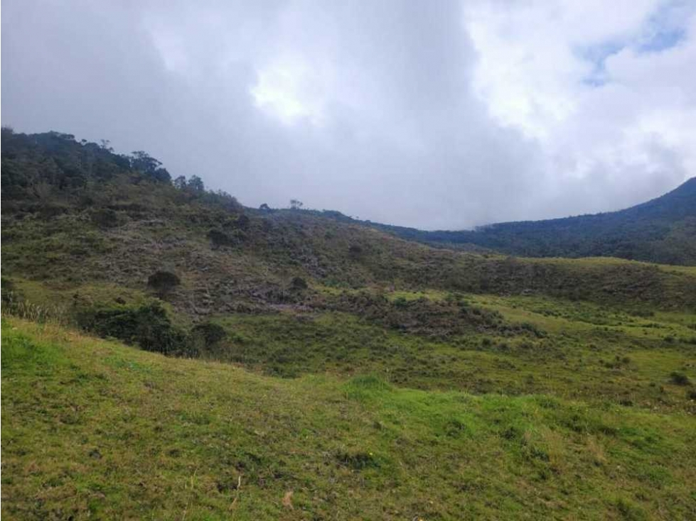 VENDO FINCA DE 183 HECTAREAS LA MARIEIA VEREDA SANTA INES