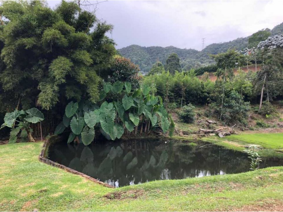 Vendo finca en la ceja Parcelación el Yarumos