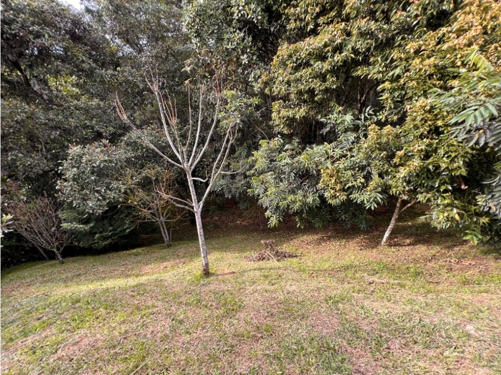 VENDO HERMOSO LOTE CON BOSQUE PRIVADO, EN LAS PALMAS VÍA AEROPUERTO