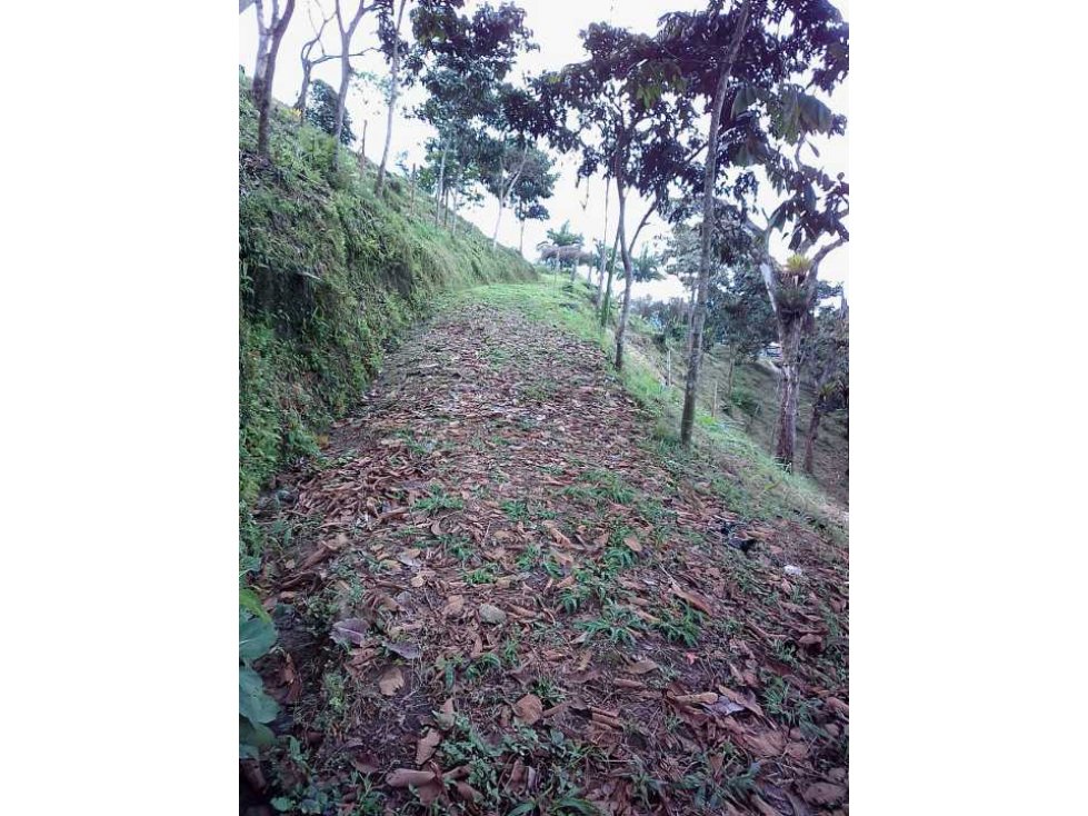 Vendo lote con hermosa vista en Boquerón