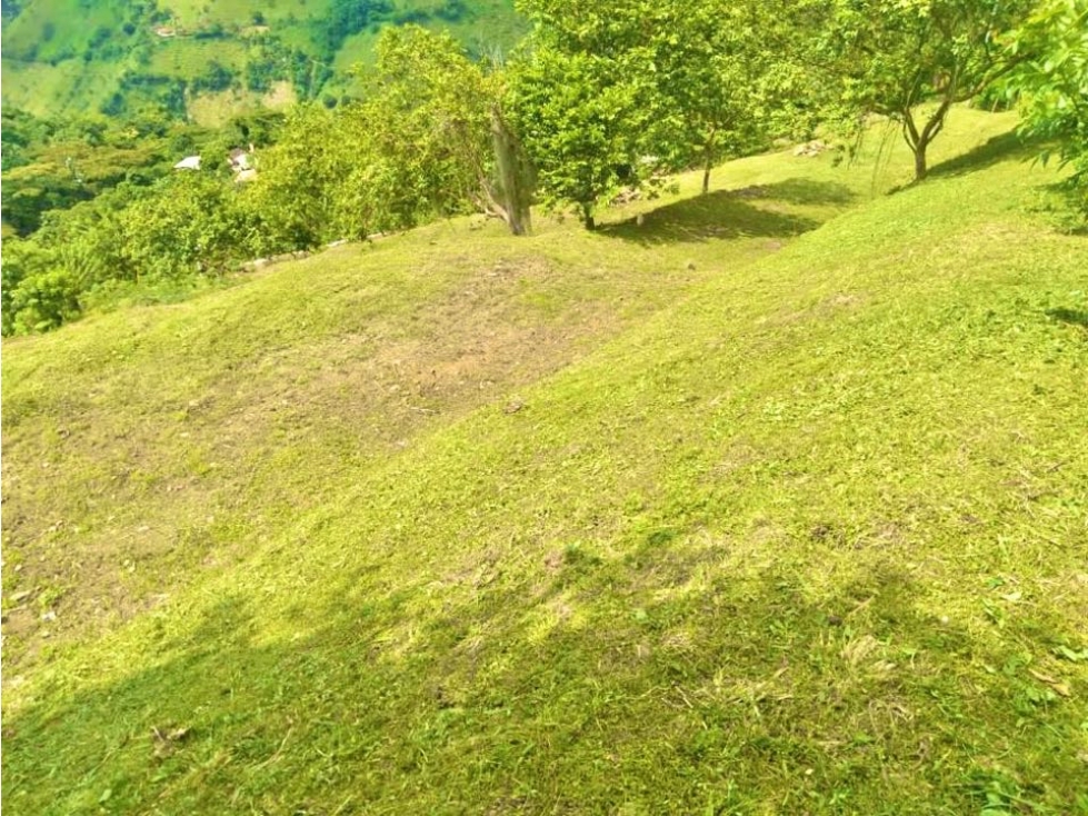 VENDO LOTE EN TITIRIBÍ, VEREDA EL VOLCÁN (SUROESTE)