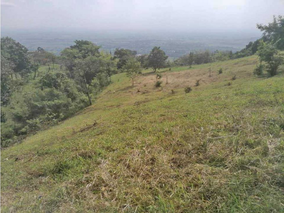 Vendo lote en riofrio en la  vereda la vigorosa