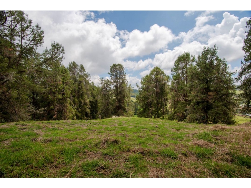 VENDO LOTE UNIDAD CERRADA ALTO DE LAS PALMAS CON BOSQUE NATIVO