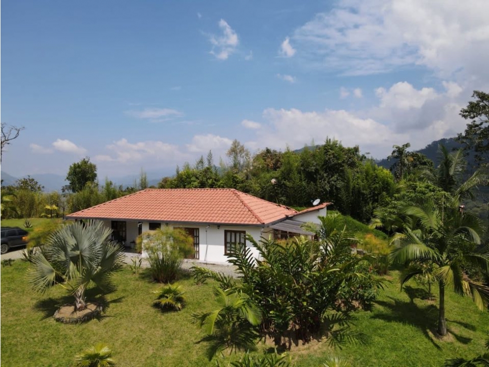 VENTA FINCA, FREDONIA- SUROESTE  ANTIOQUEÑO