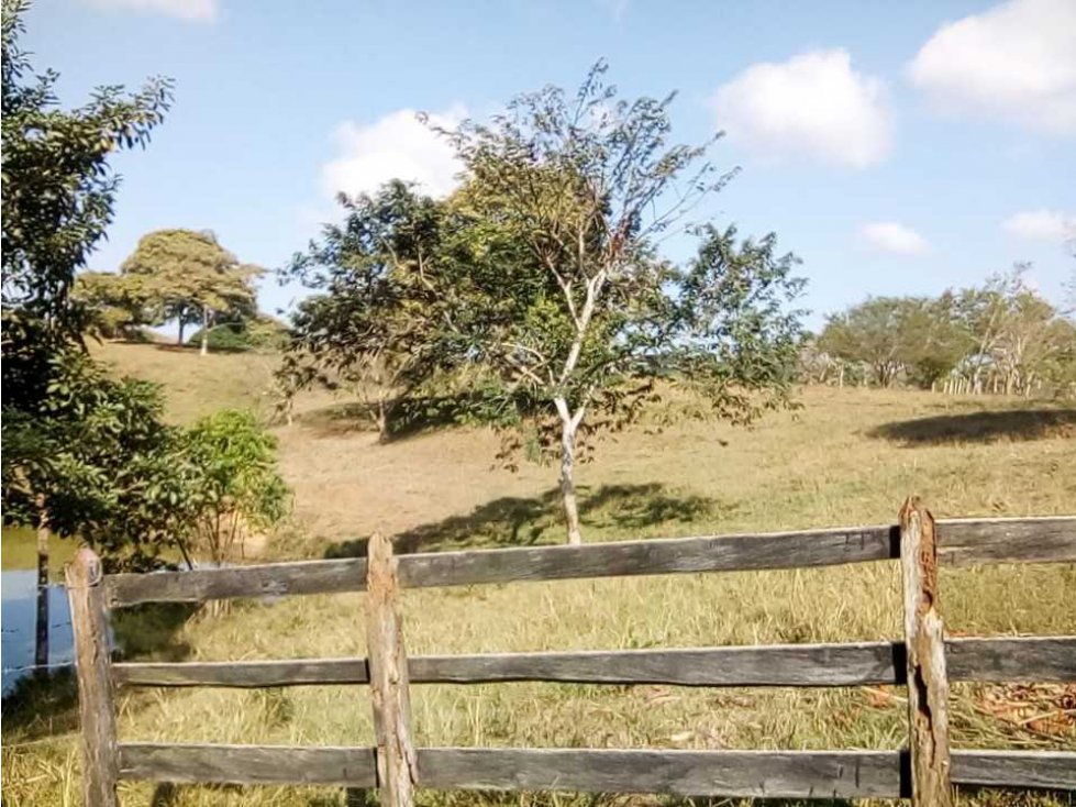 VENTA DE FINCA DESPUÉS DEL KM 15, MONTERIA