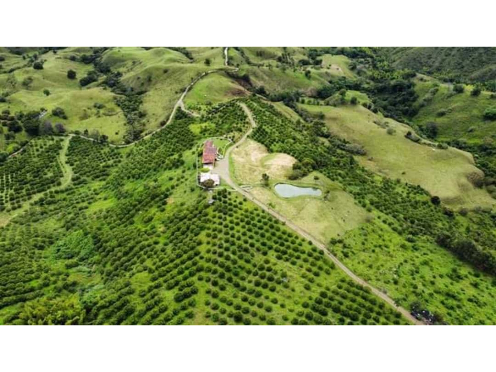 VENTA DE FINCA EN SEVILLA VALLE