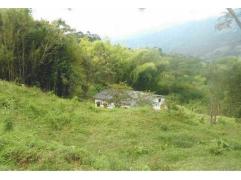 Venta de lote en Fredonia Antioquia