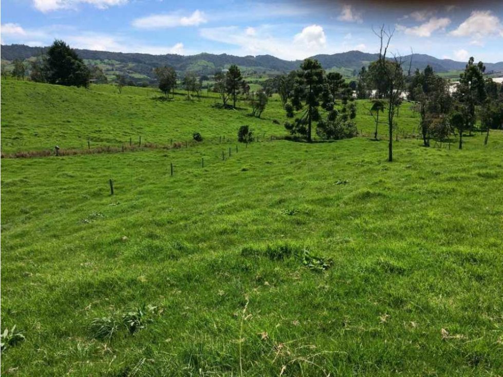 Venta de lote en la unión Antioquia