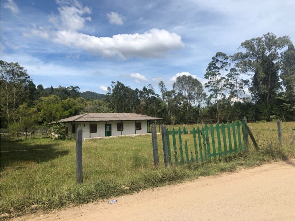 Venta de lote Guarne vereda San José