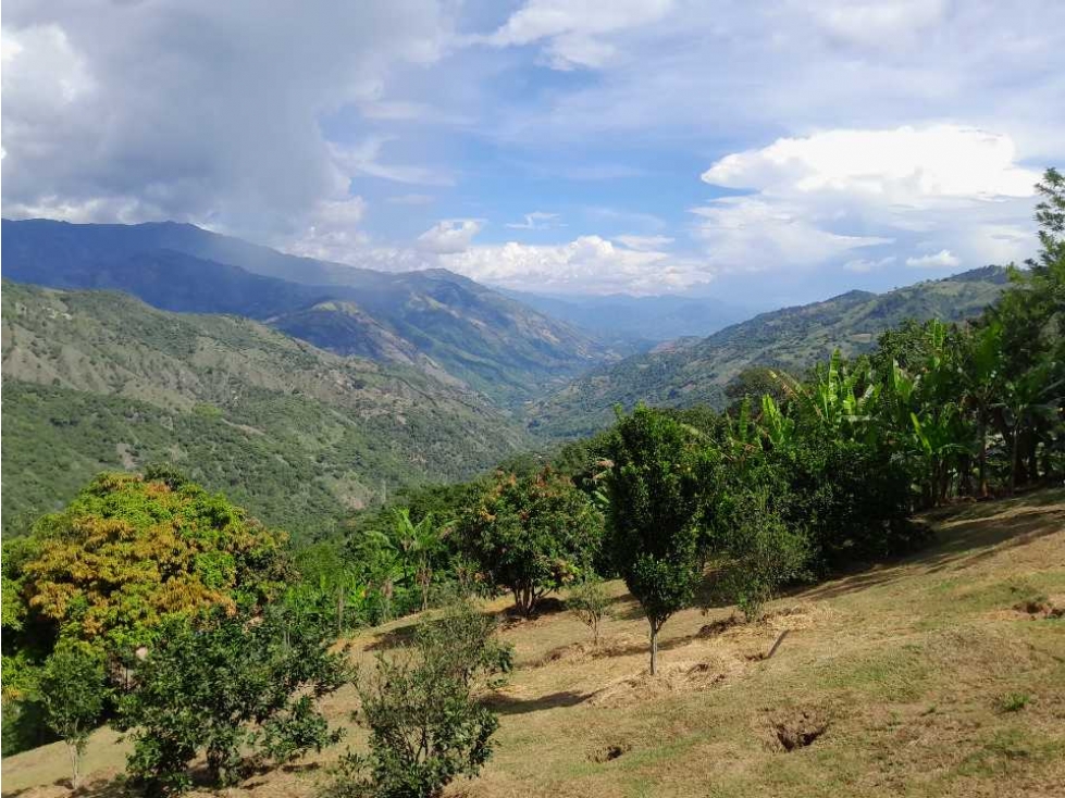 VENTA DE LOTE, SANTA BARBARA, SUROESTE ANTIOQUEÑO