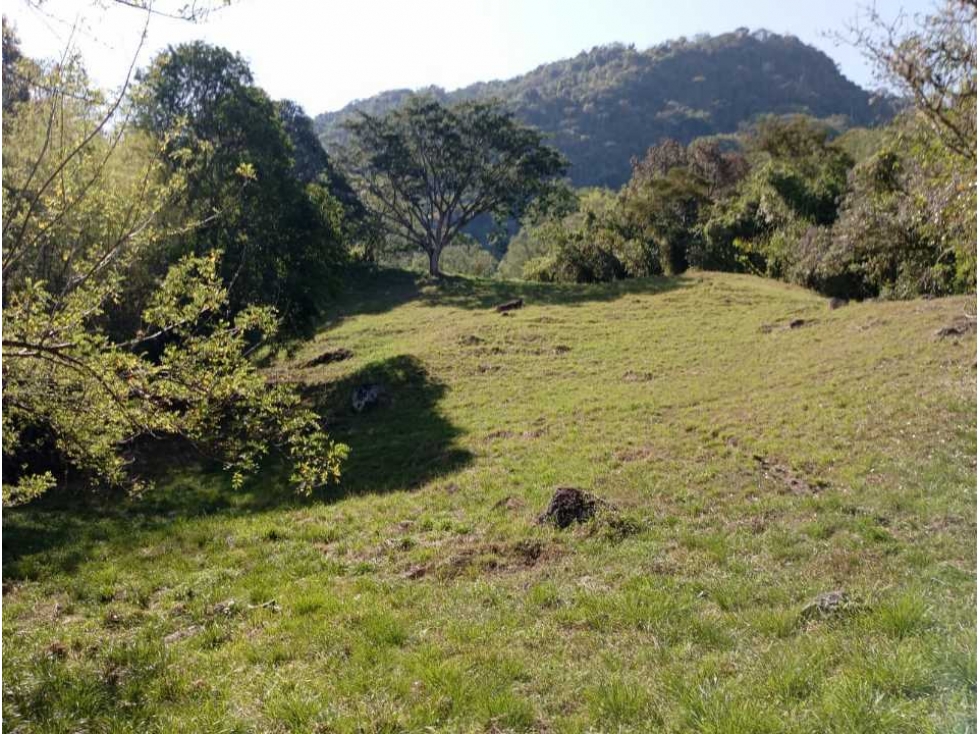 VENTA FINCA CONCORDIA, SUROESTE ANTIOQUEÑO.