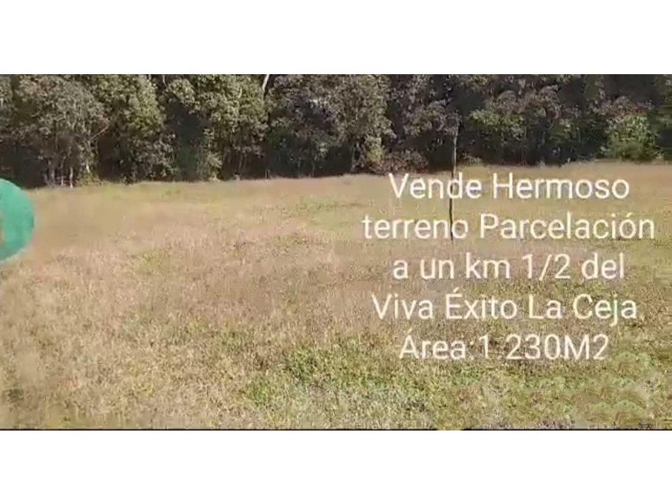 Venta lote plano en Parcelación, La Ceja, Antioquia.