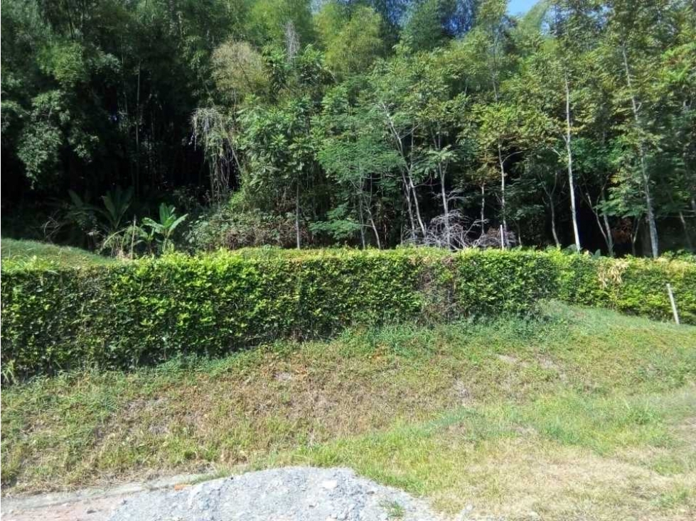 VENTA LOTE EN SANTAGUEDA VIA MANIZALES CALDAS