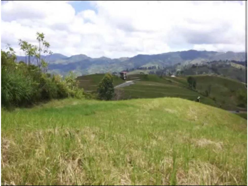 Venta lote Santa Rosa de Cabal