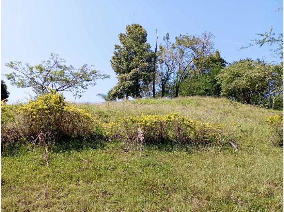 VENTA LOTE URBANO, LA PINTADA, SUROESTE ANTIOQUEÑO