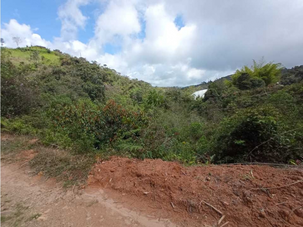 Venta lote Vereda San Matías, El Santuario, Antioquia.