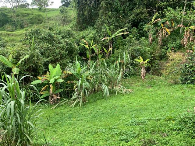 Se vende Finca en Tena, Cundinamarca